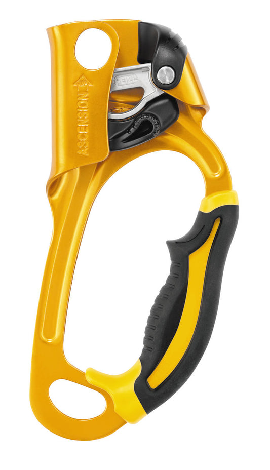 PETZL ASCENSION ASCENDER